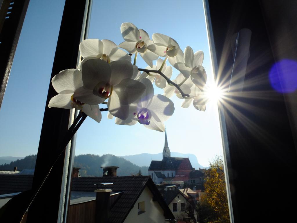 Vila Mila Bled Bagian luar foto