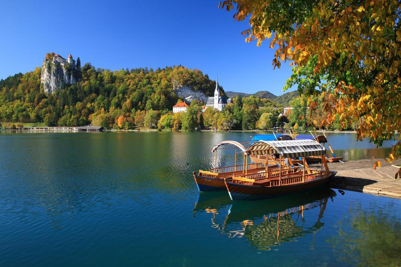 Vila Mila Bled Bagian luar foto